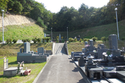 �C���[�W02