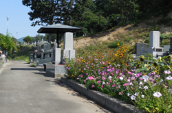 �C���[�W05